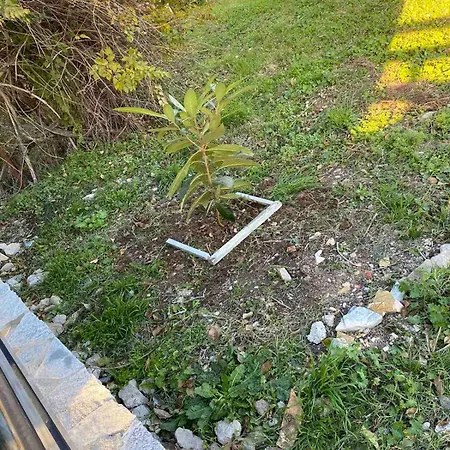 Tatil Evi Traditional Kalampaka *